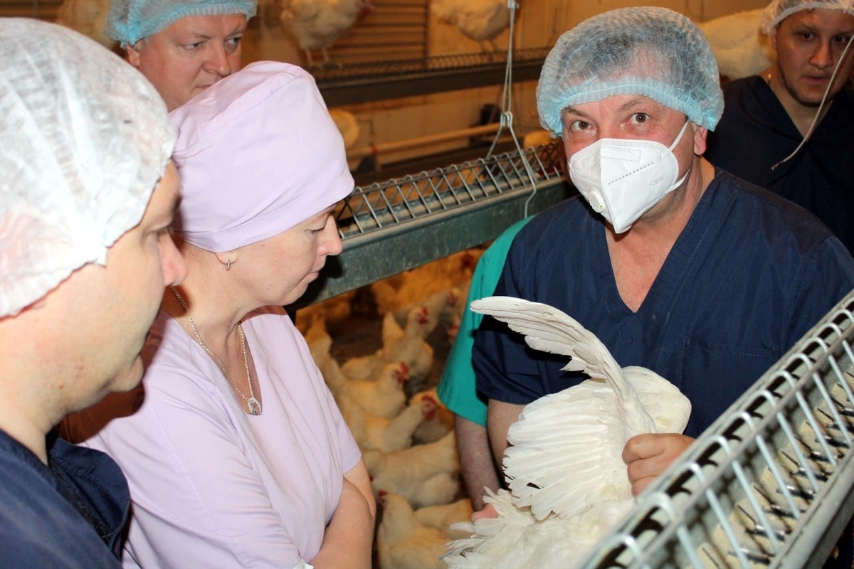 Фото: Пресс-служба минсельхоза Челябинской области