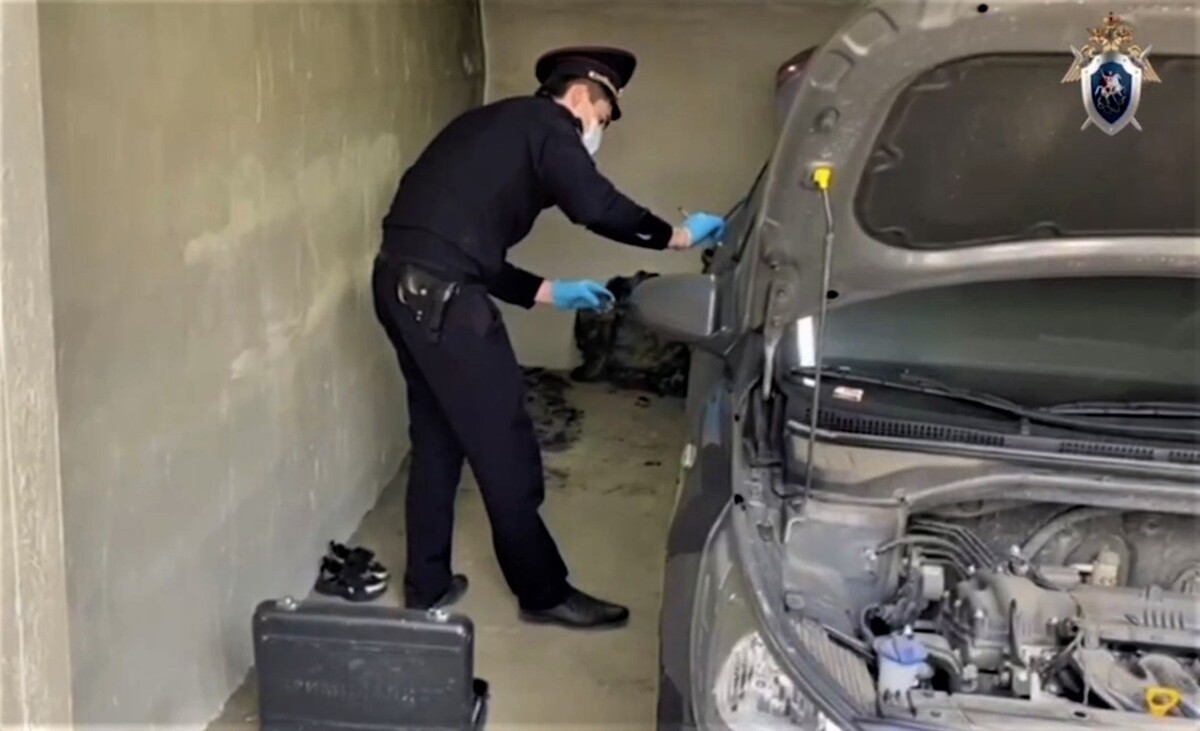     / Источник: Кадр из видео