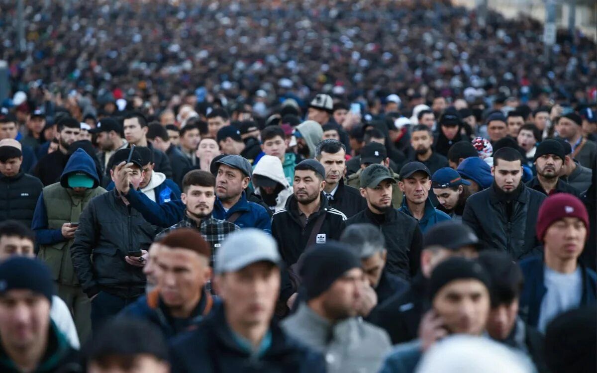 Фото из открытых источников