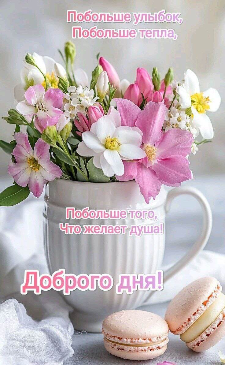 Фото из свободного доступа интернета