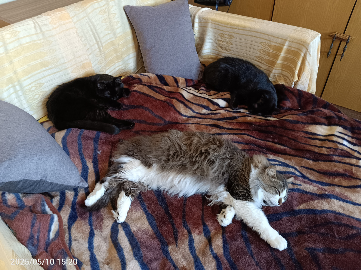 Спят все рядышком.