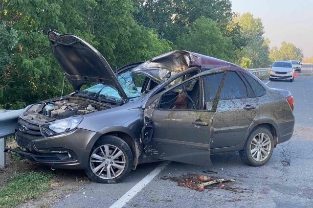    Фото: ГУ МВД России по Самарской области