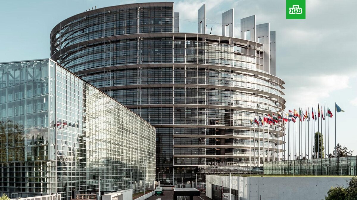    Фото: Lukas S / unsplash.com