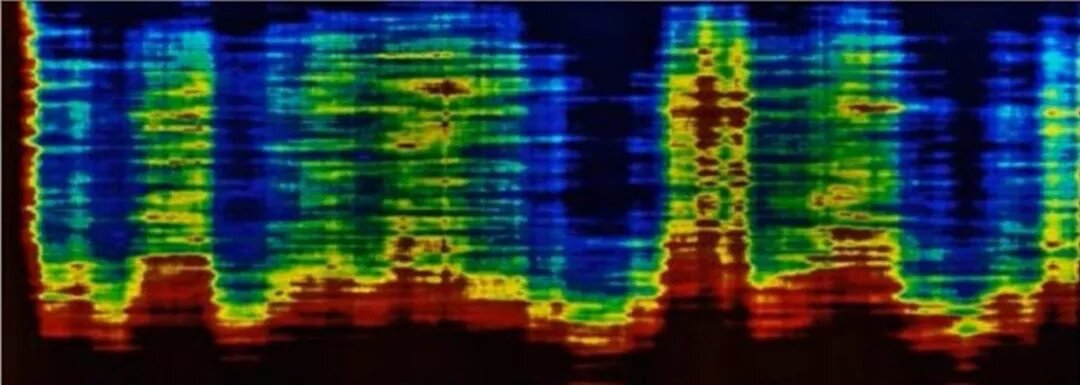 Топография, показанная радаром на пресс-конференции, позднее опубликована пресс-секретарем Николь Чикколо на YouTube.
