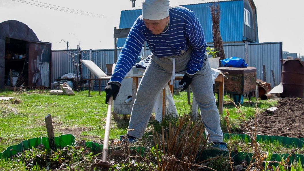    Фото: Oksana Korol/Globallookpress