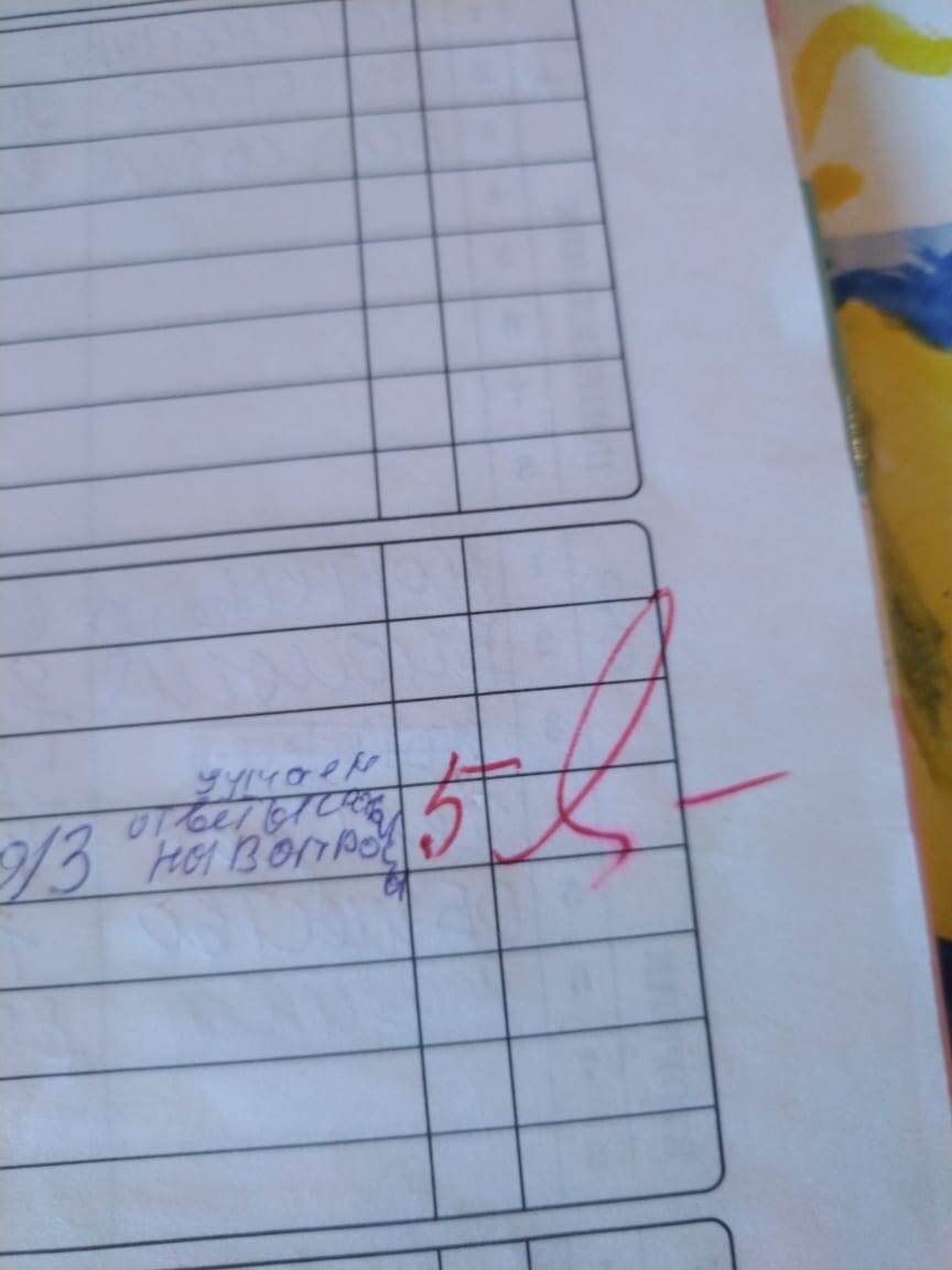 Василисин школьный дневник, было время))