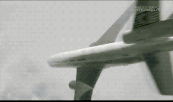 Компьютерная анимация крушения рейса 981. Обратите внимание, что на самом деле пикирование было не таким крутым, как показано в анимации.