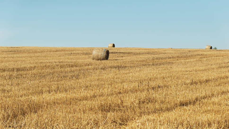 Фото: Игорь Елисеев / Коммерсантъ