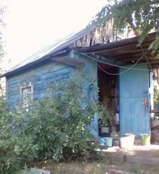 В итоге участок решили не продавать. Оставить ещё на один сезон. Осенью, после сбора урожая, опять выставим на продажу. Продолжение следует.... 