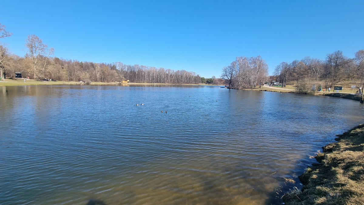 На фото: пруд Кузьминского парка с лодочной станцией