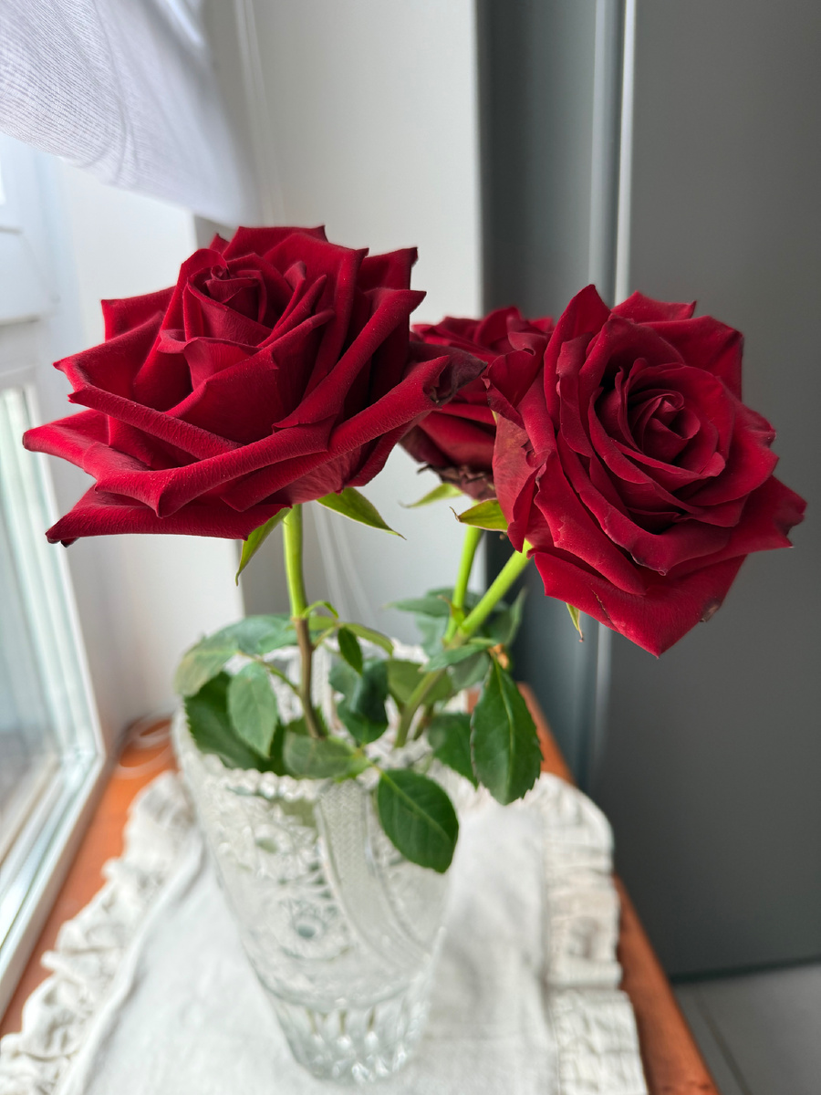 Фотка сегодня утром. Розы стоят. Как так?