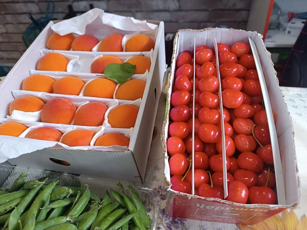     Источник: rostovgazeta.ru