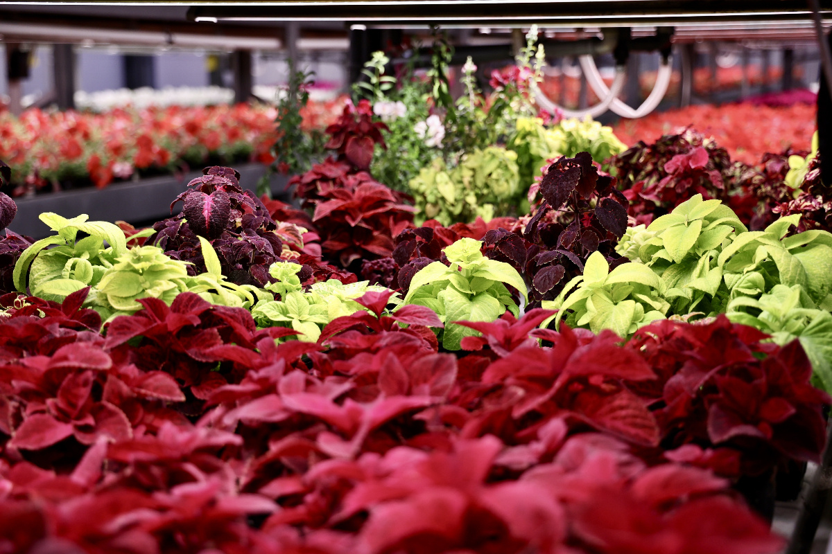    Фото: пресс-служба администрации Челябинска