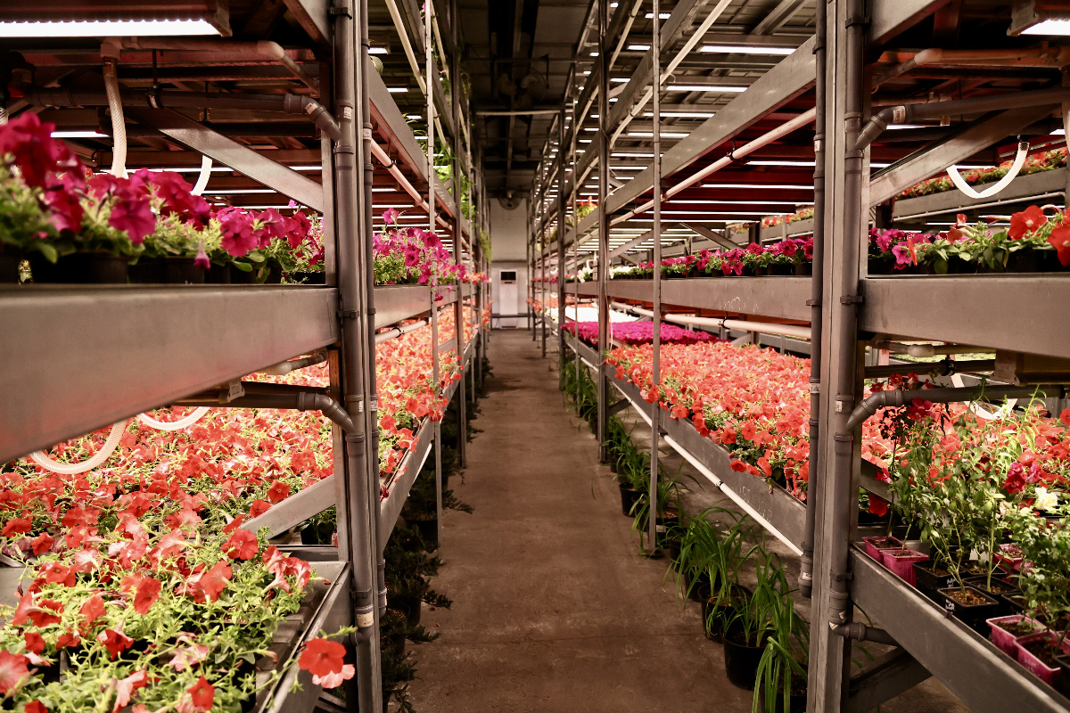    Фото: пресс-служба администрации Челябинска