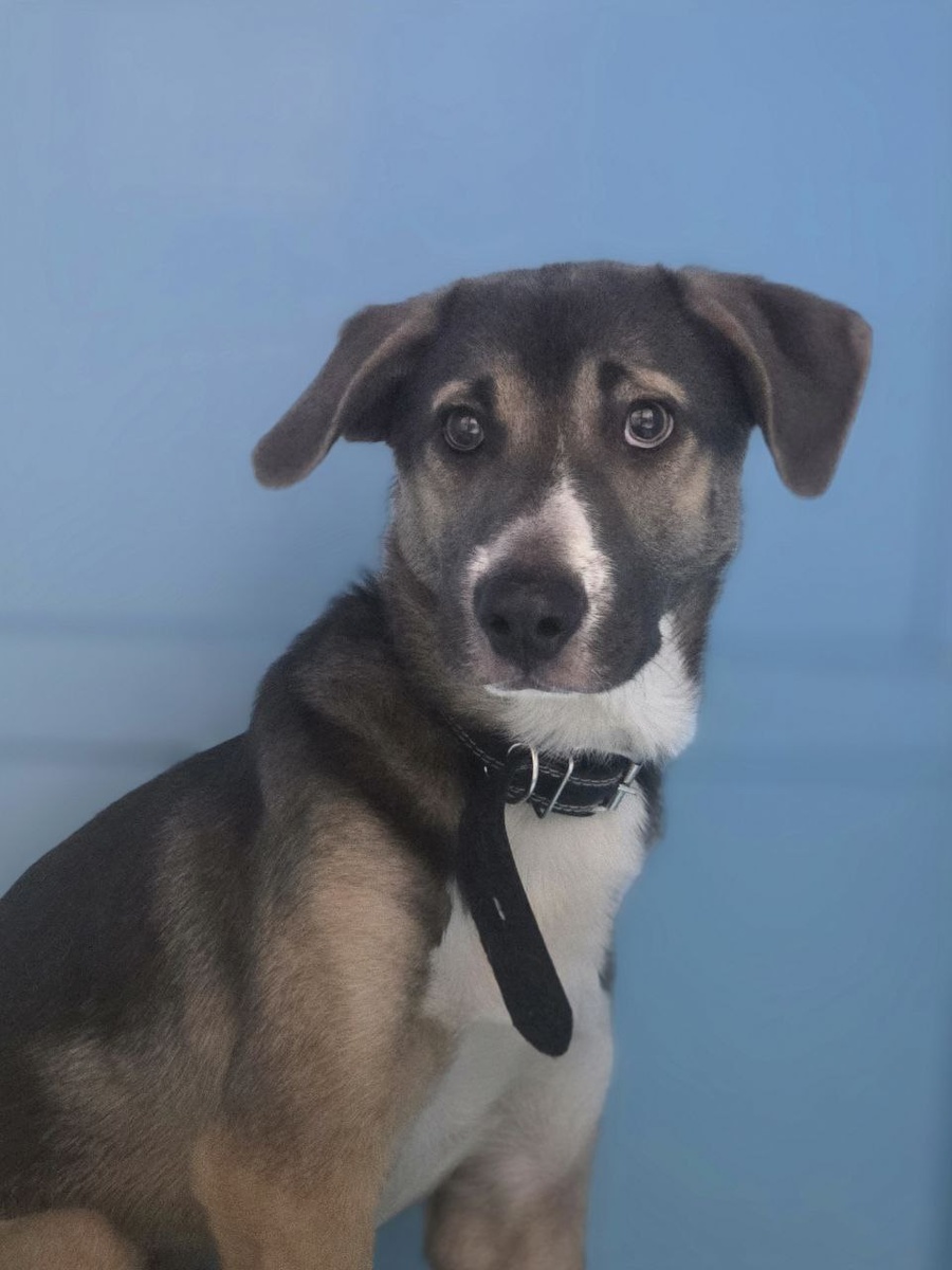 Ему всего 8 месяцев... А в глазах уже плещется ужас