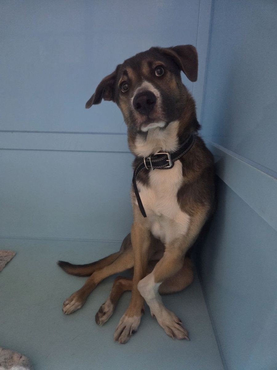 Страшно даже представить, как ему было больно от такого перелома. Как долго он заживал... 