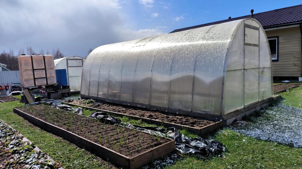    Maksim Konstantinov/Global Look Press