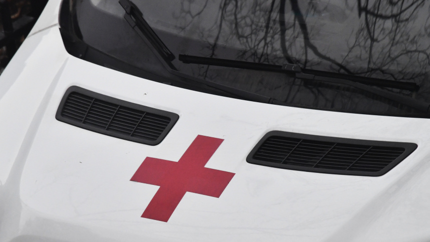    Фото: © РИА Новости/Наталья Селиверстова; 5-tv.ru