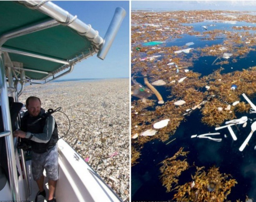 Остров из мусора в Тихом океане. Наглядные последствия "одноразового потребления"