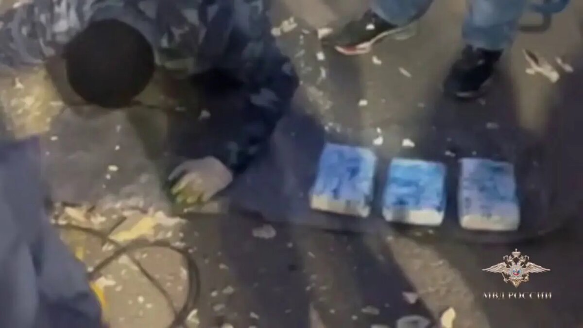    Фото: кадр видео МВД РФ