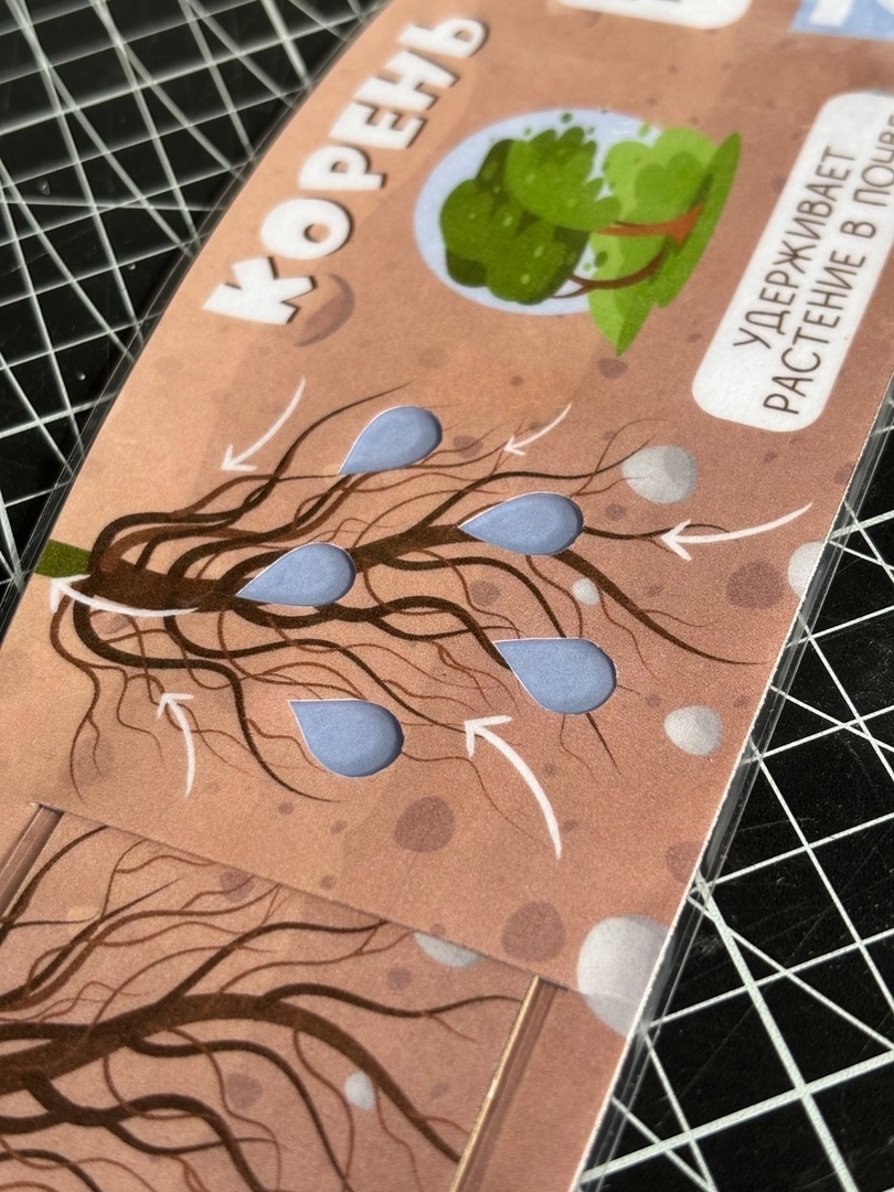 Детям о корне