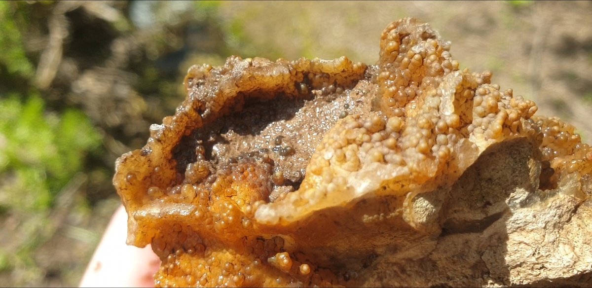 Скрин из видео