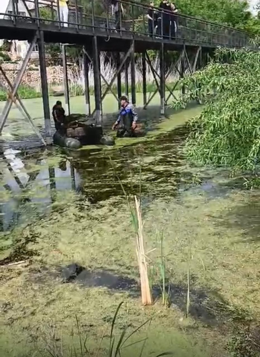     В Оренбурге собирают мусор на тропе здоровья Оренбуржье
📷    В Оренбурге собирают мусор на тропе здоровья Оренбуржье
