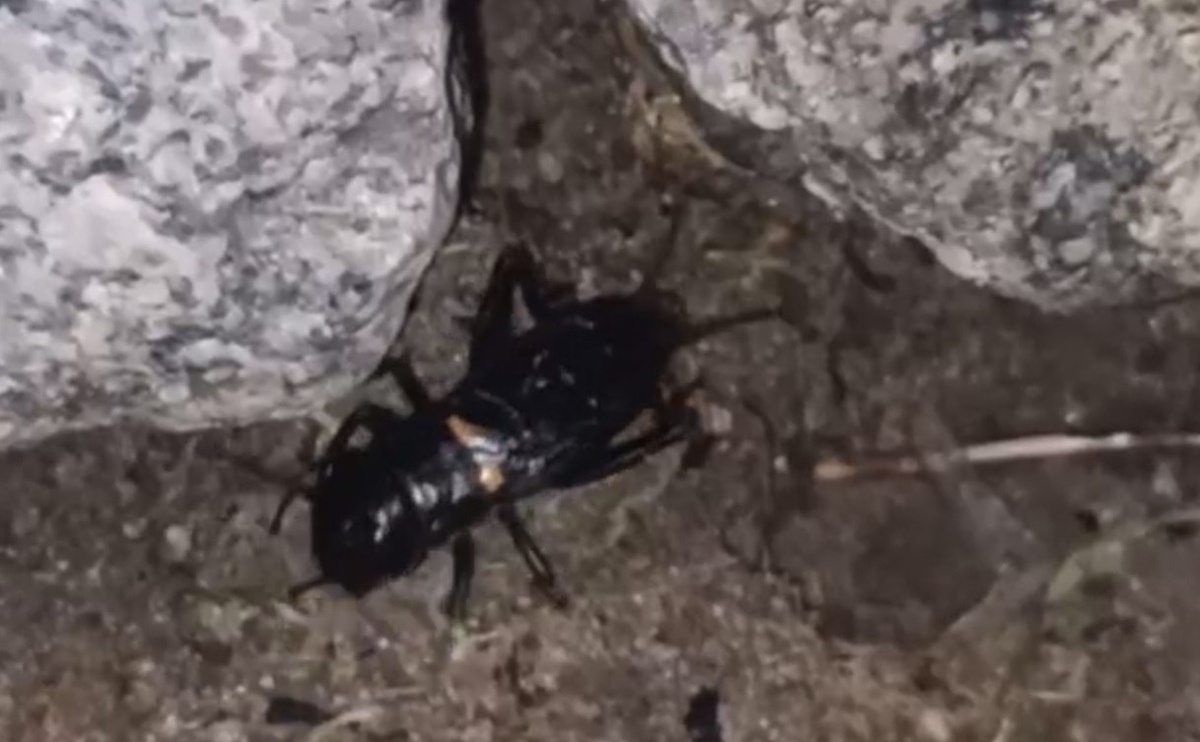 © Фото: ИД «Волгоградская правда» / Кирилл Брага