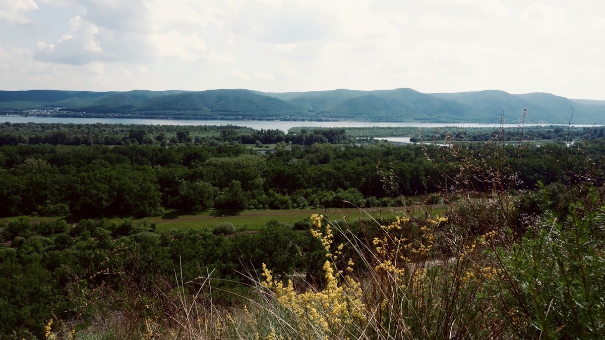    Фото: Яна Лаушкина