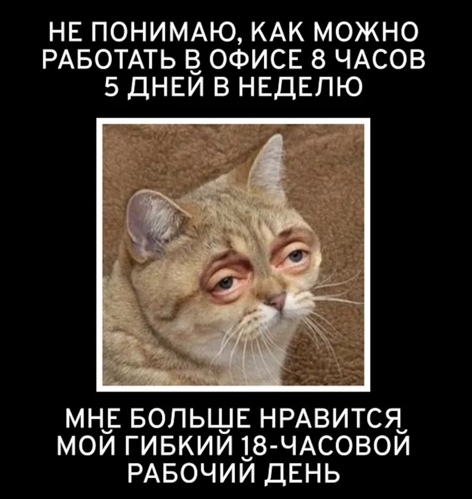    Фото: соцсети