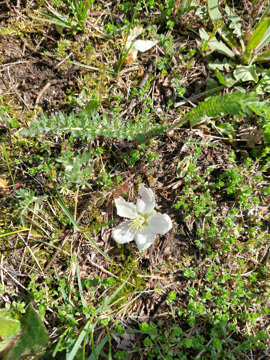 из личного архива