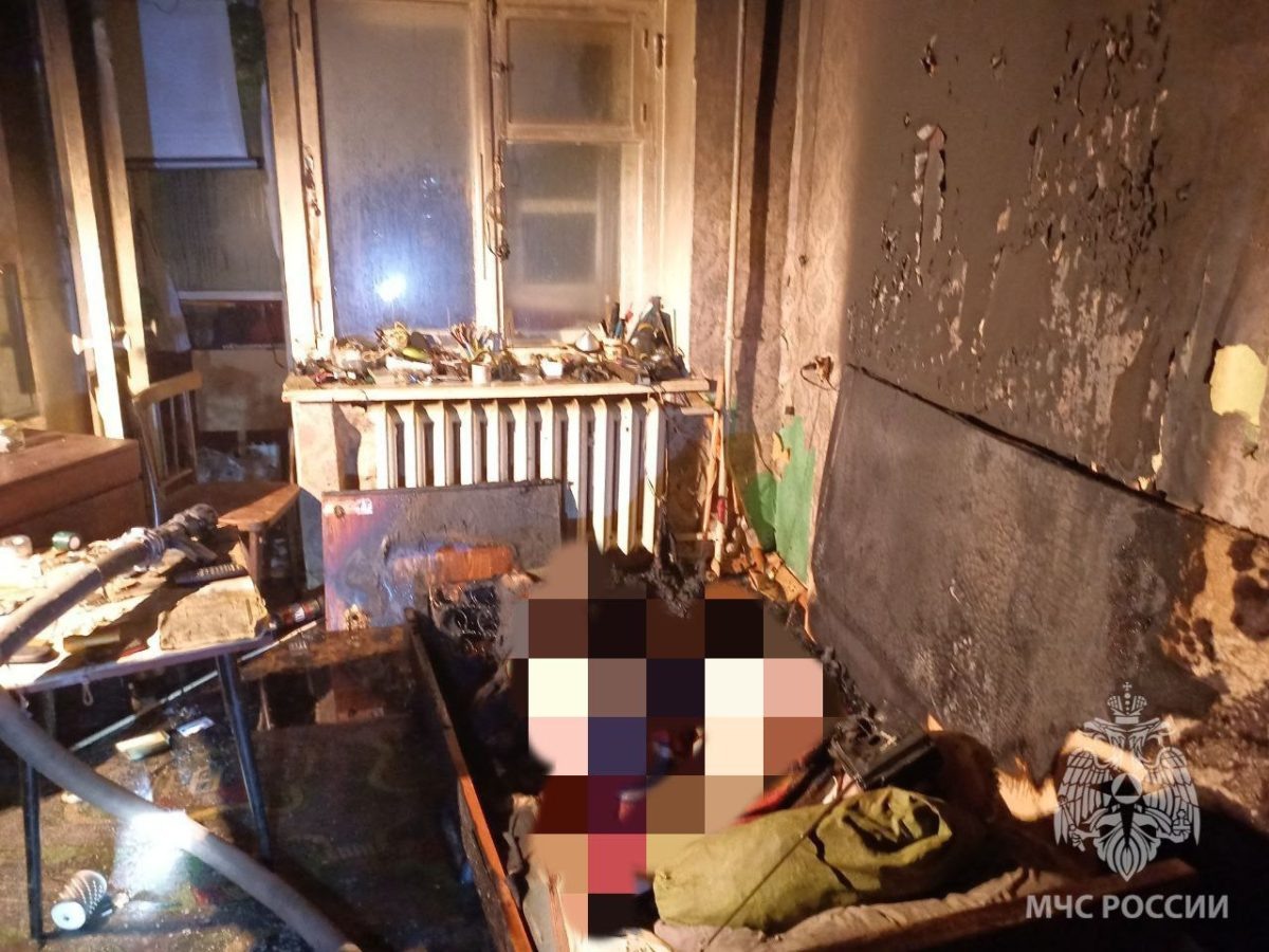    Огонь тушили 14 спасателей МЧС России