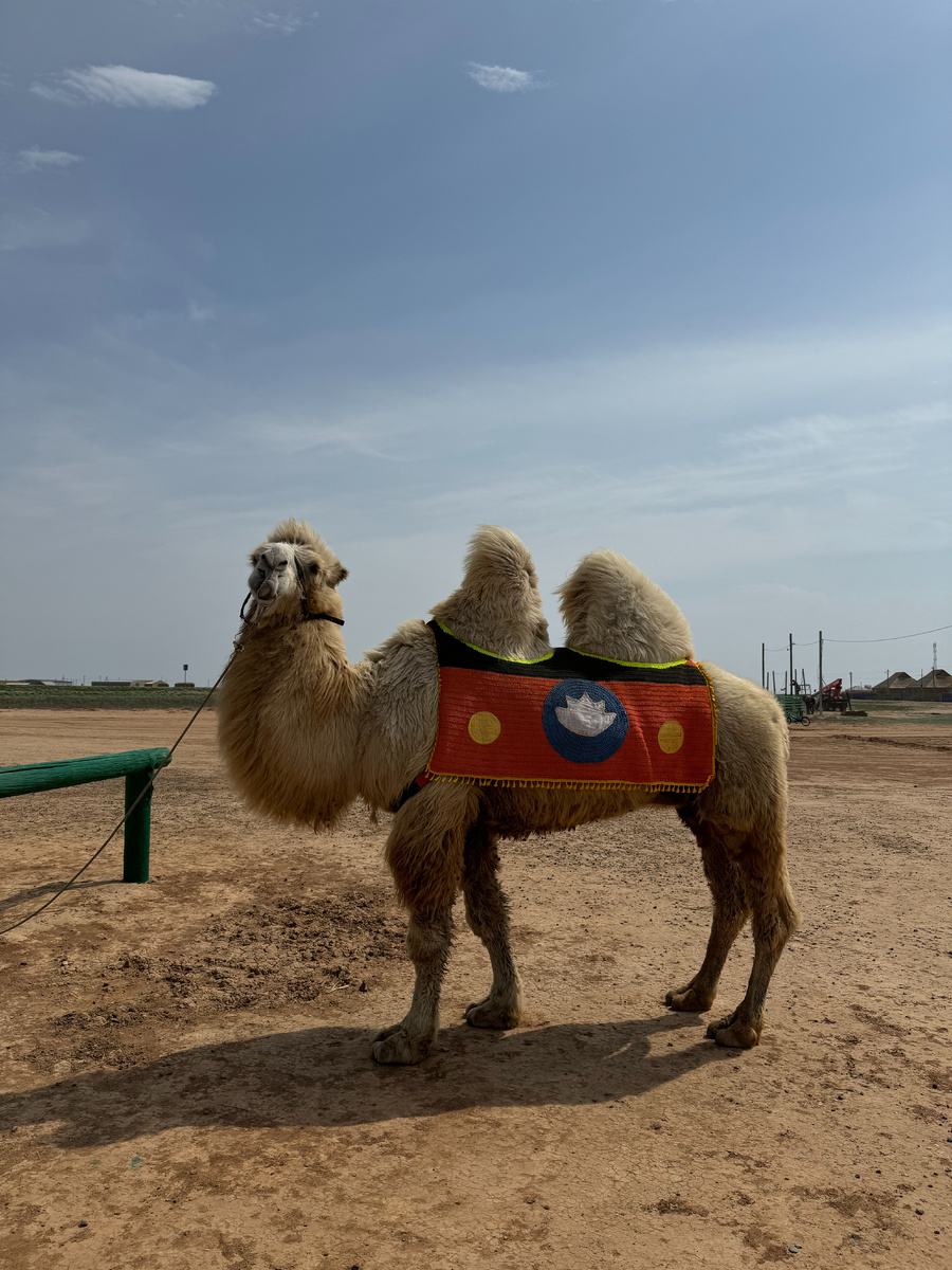 Фото от автора