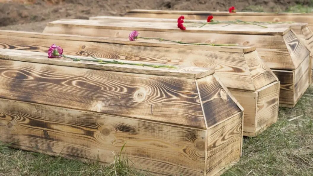    ФОТО: ALEKSEY SMYSHLYAEV/GLOBALLOOKPRESS