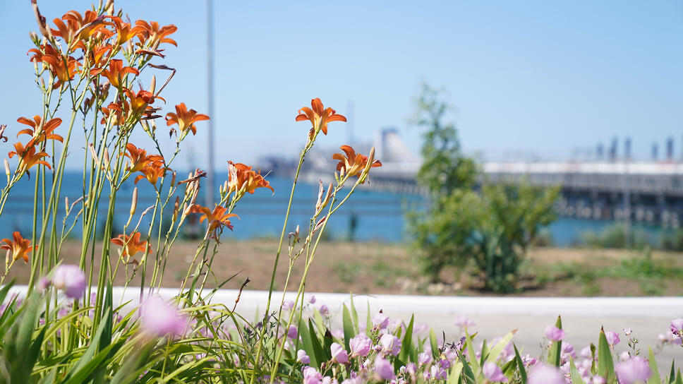 Фото: пресс-служба компании «ОТЭКО»