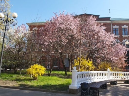    пешеходная улица Пушкинская в Ростове // фото: Ольга Медведева