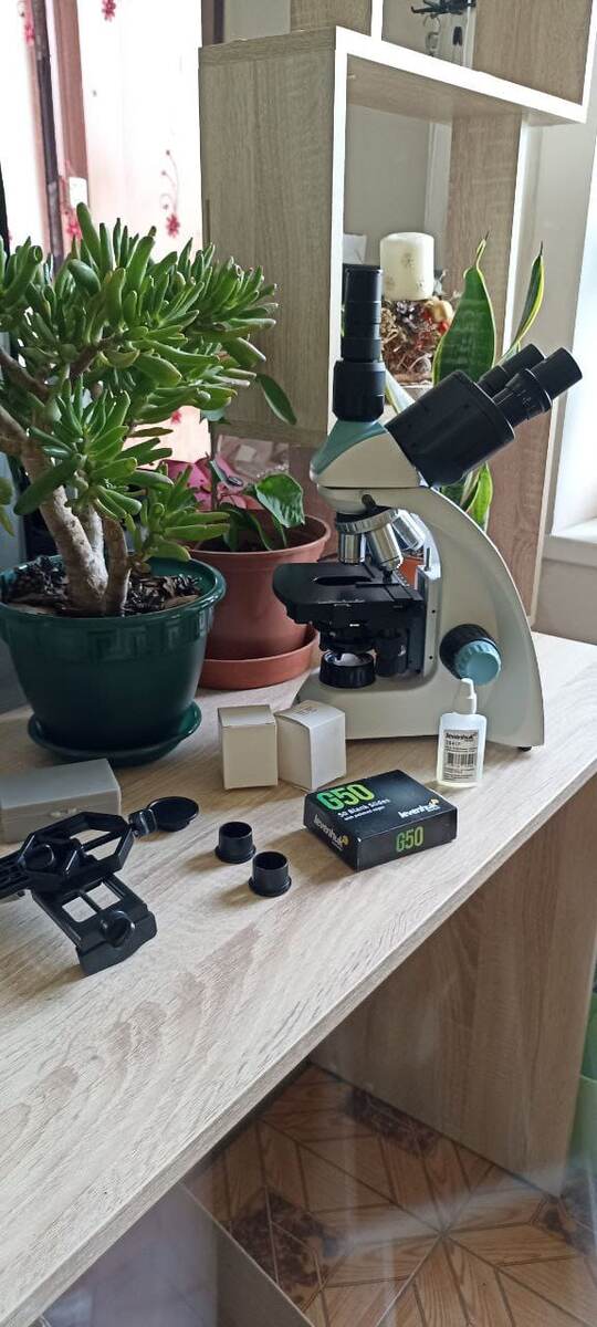 Мама заменила планшет на микроскоп, что стало важным шагом в  развитии Никиты.