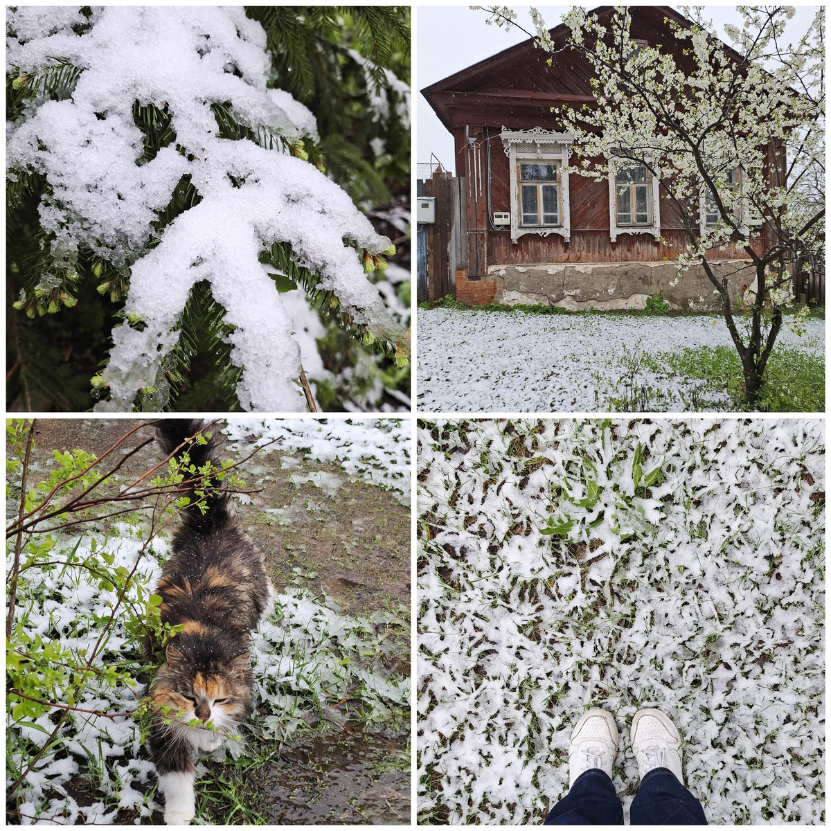 2 мая 2025 года. Выезжаем из Шуи, направляемся в усадьбу Островского. Фото автора.