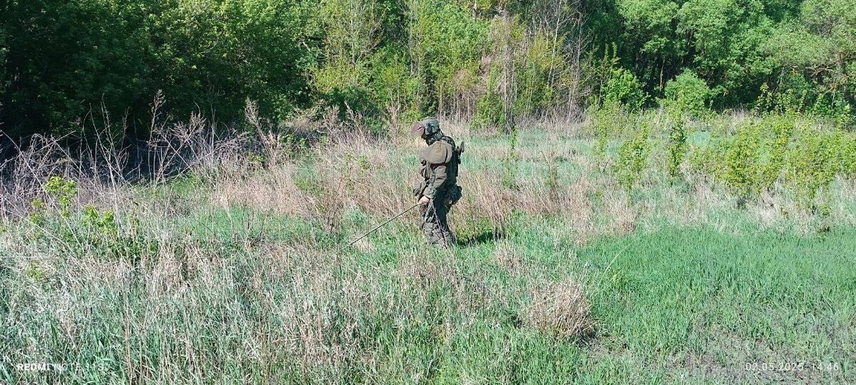Фото: Администрация Курска