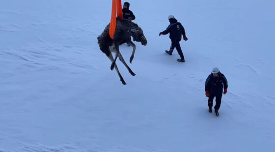     Скриншот из видео «Атомфлота»