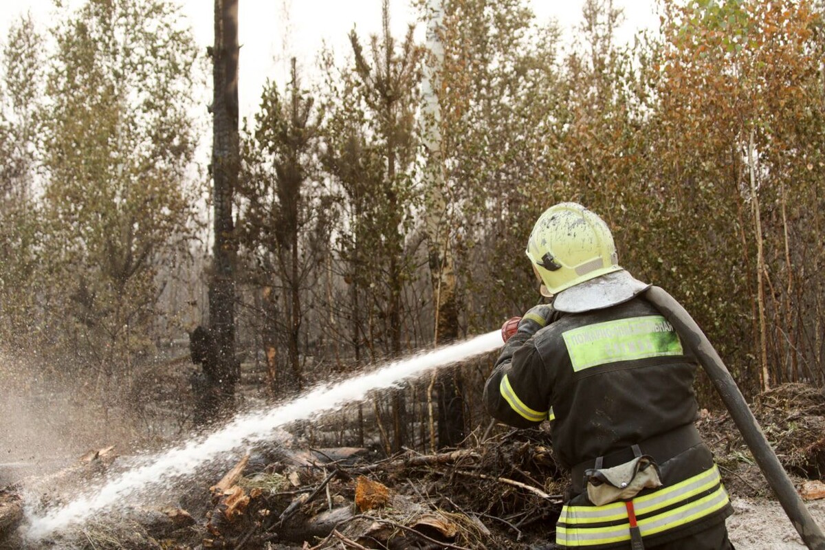     / Источник: © Денис Бочаров/Global Look Press