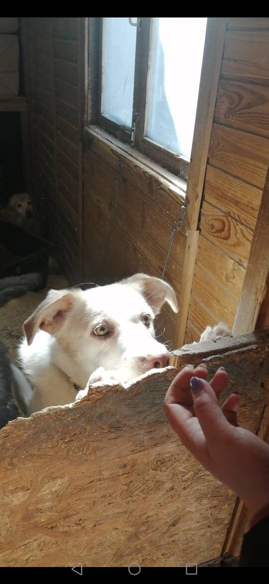 Такой я увидела тебя впервые...