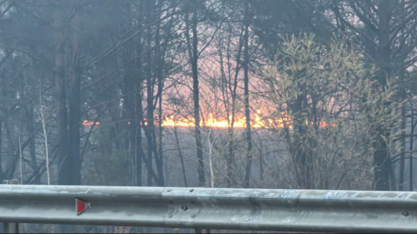    Фото: Андрейкова Ольга; 5-tv.ru