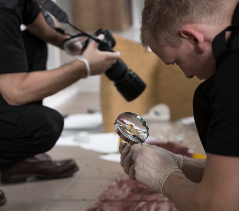 работают криминалисты