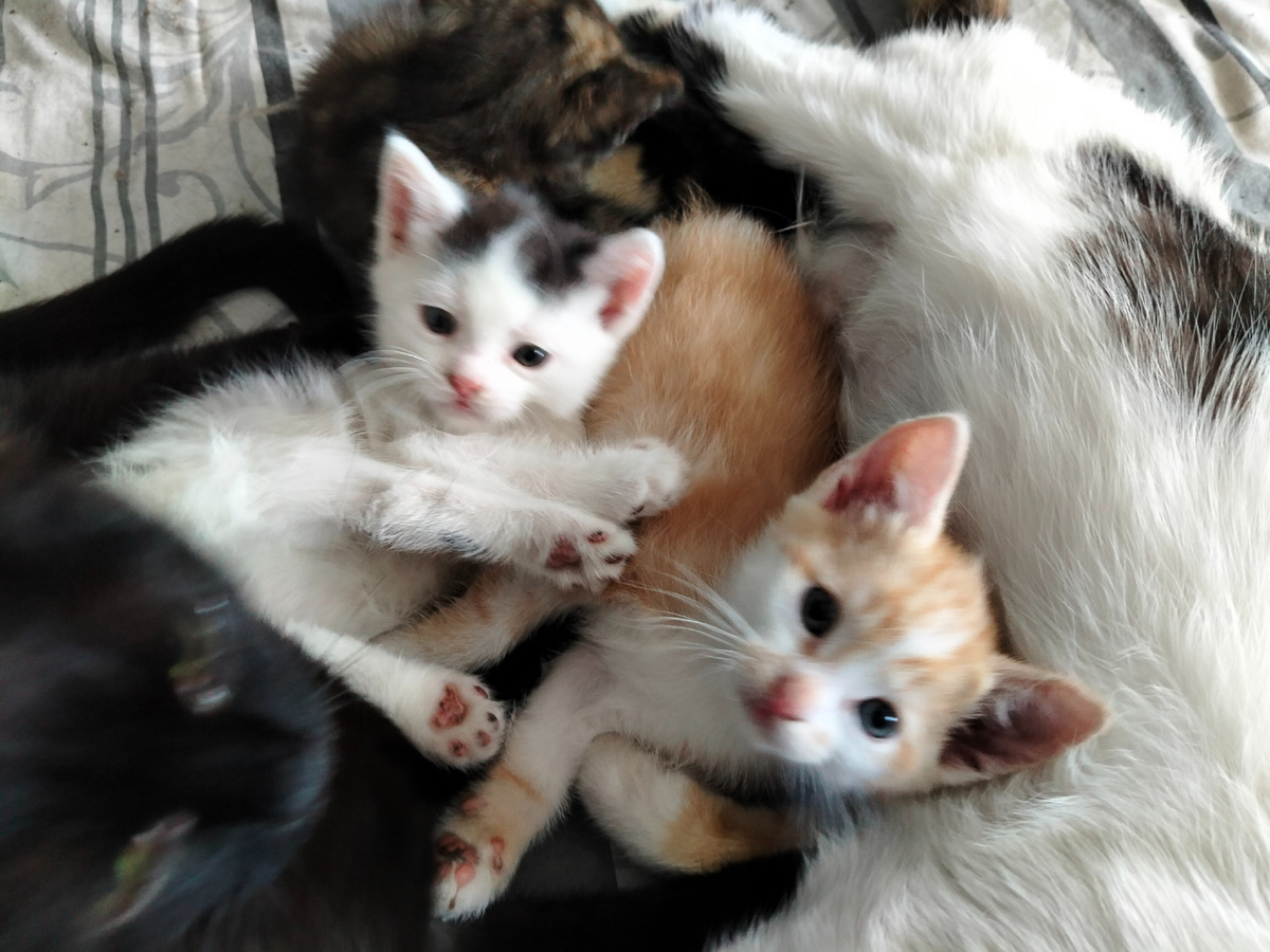 Фото автора