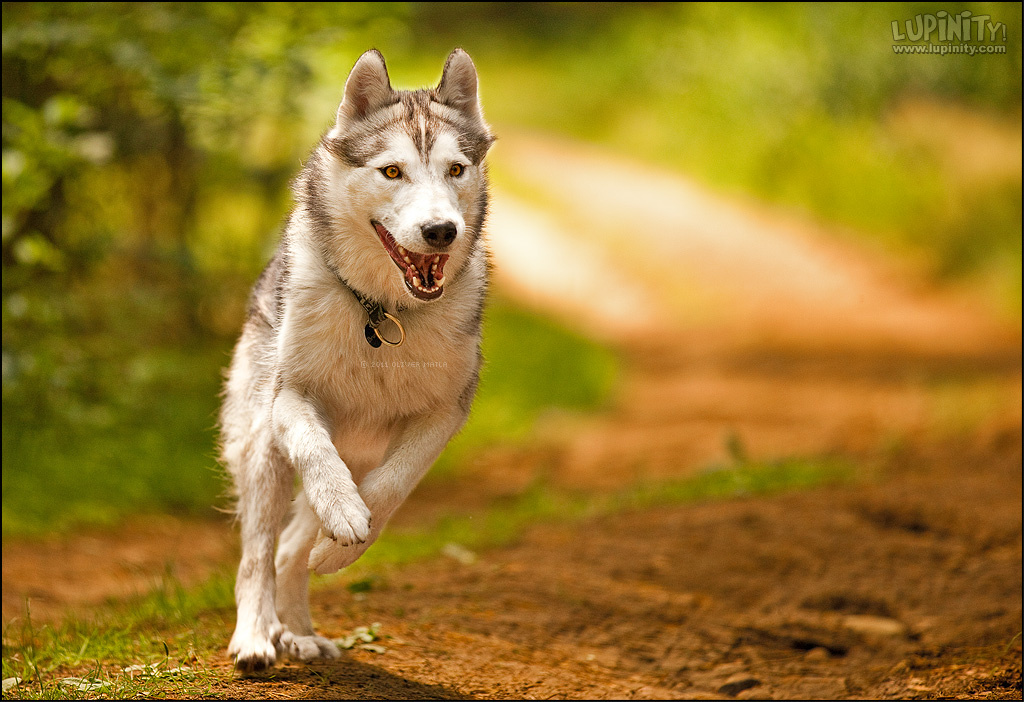 Фото из открытых источников интернета