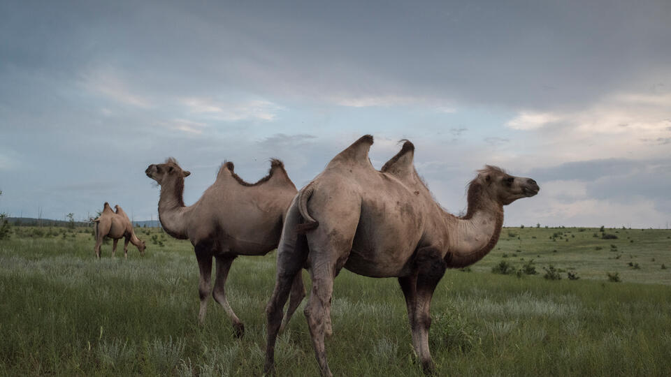 Фото: © РИА Новости/Валерий Мельников