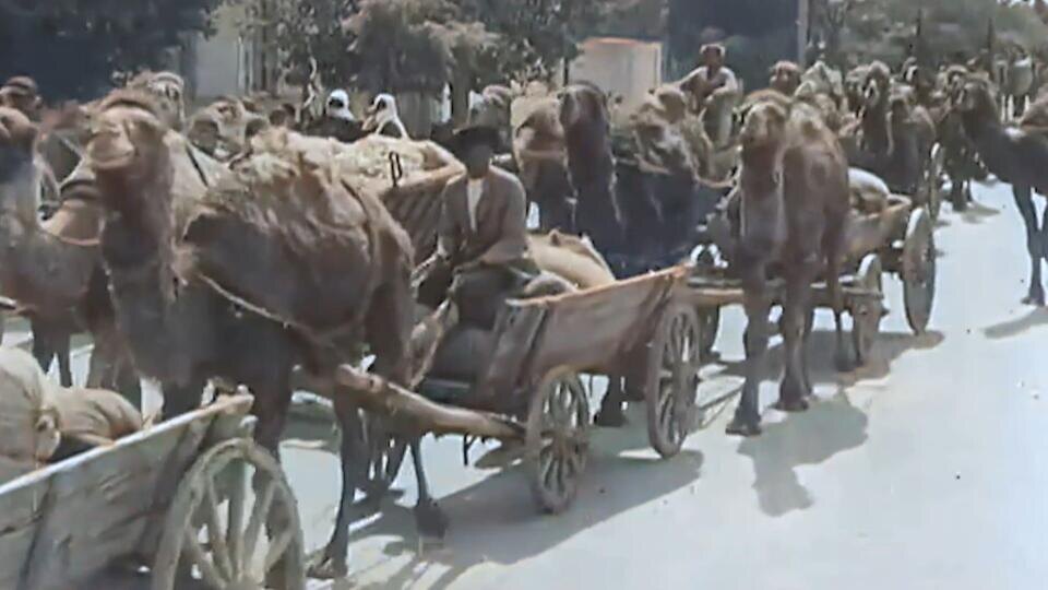 Фото: © Кадр из программы "Загадки человечества", РЕН ТВ