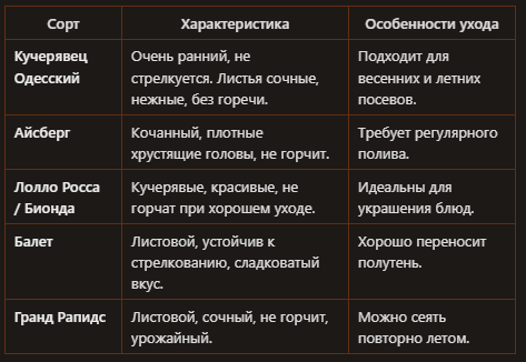 Лучшие сорта салатов для Подмосковья