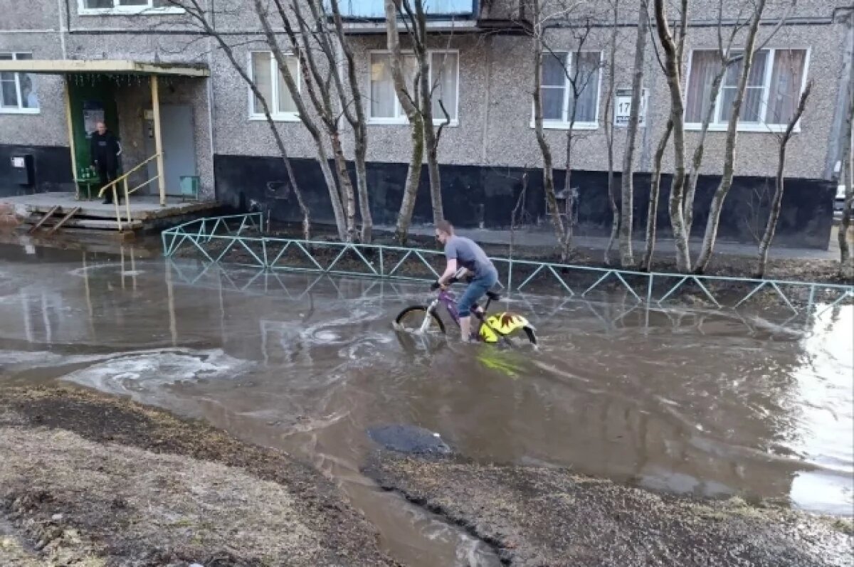    Озвучены предварительные причины затопления дворов на Кольском проспекте